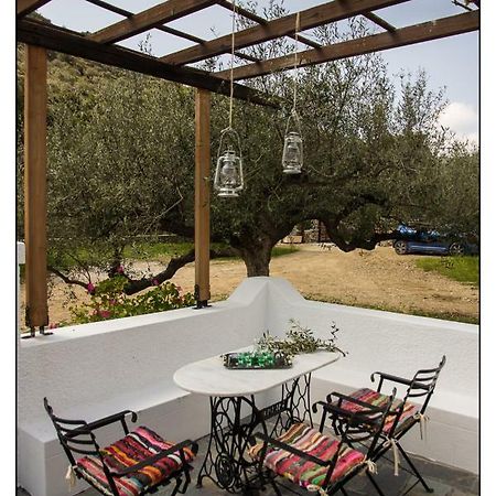 Liodentro House Villa Karpathos Exterior photo