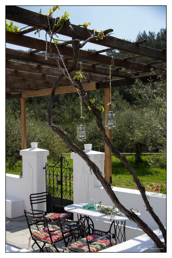 Liodentro House Villa Karpathos Exterior photo