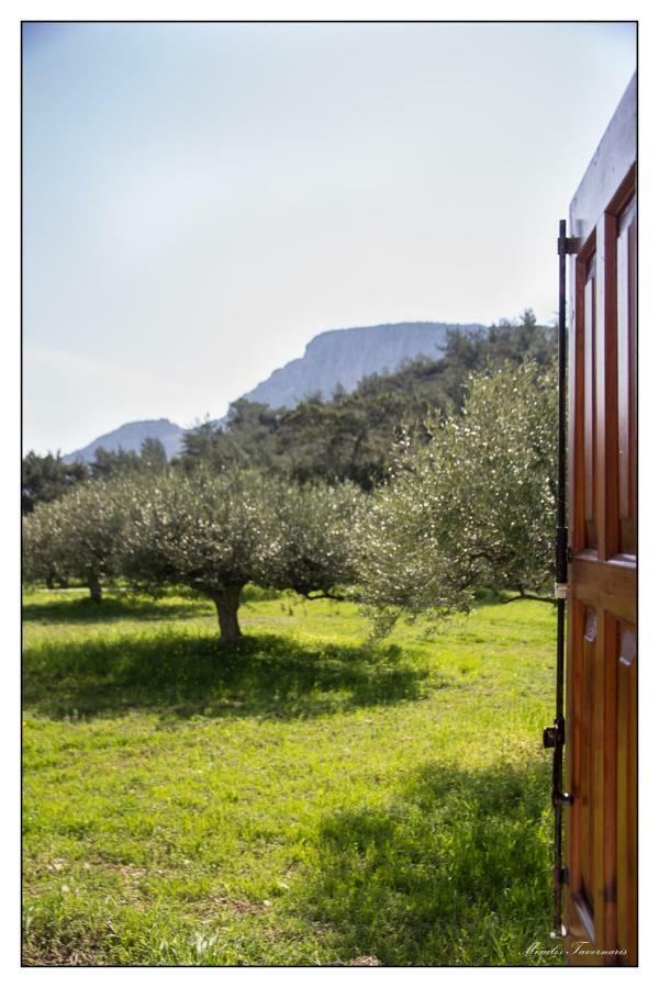 Liodentro House Villa Karpathos Exterior photo