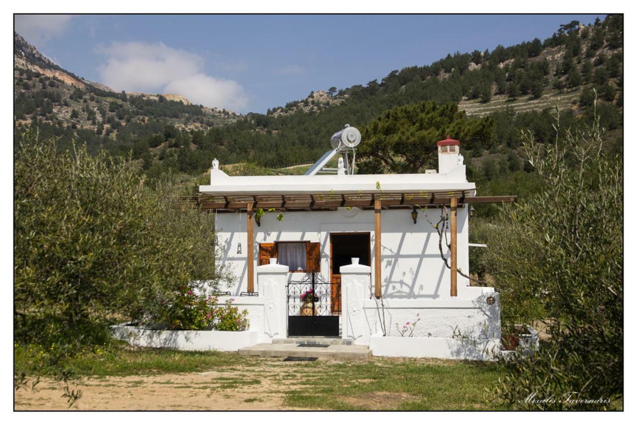 Liodentro House Villa Karpathos Exterior photo